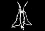 cropped screenshot 2026 06 12 at 13.28.34.png