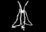 cropped screenshot 2026 06 12 at 13.29.21.png