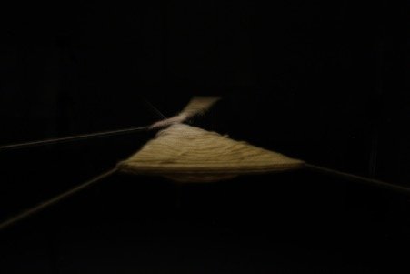 Follow the Moth